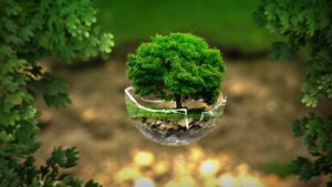 environnement-SocialMag