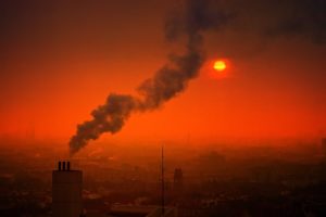 new delhi contre pollution - SocialMag