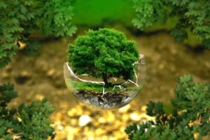 conseil constitutionnel sanctifie protection environnement - Social Mag