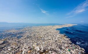 catamaran nettoyer plastique oceans 2024 - Social Mag