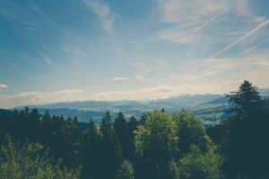 forêts tremplin emploi