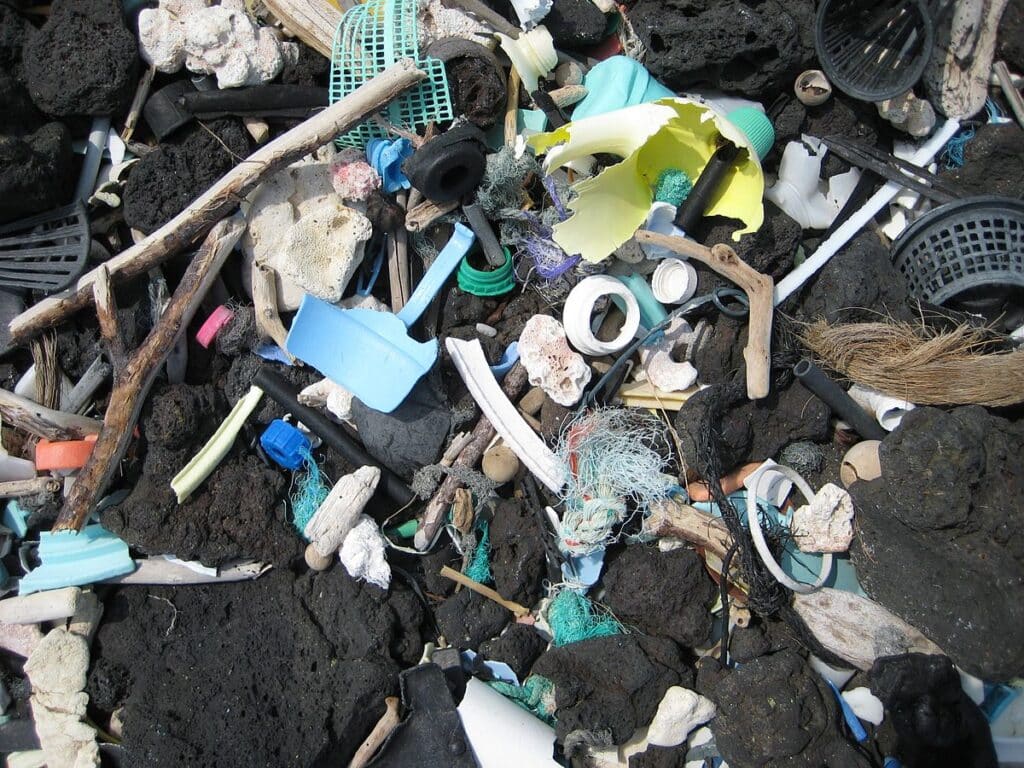 wwf cout plastique serait dix fois superieur couts production - SocialMag