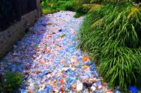 etats unis champions monde pollution plastique - SocialMag