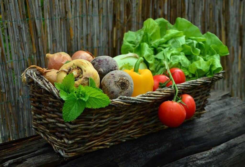 pimpup paniers fruits legumes moches anti gaspi - SocialMag