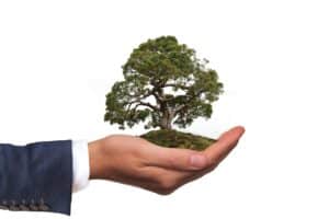 changer cinq habitudes peut avoir reel impact protection environnementale - SocialMag
