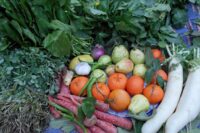 fruits legumes pesticides - SocialMag