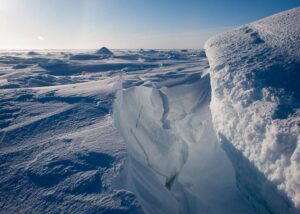 pollution plastique retrouve zones reculees antarctique - SocialMag