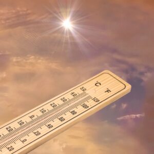 2022 records chaleurs meteo france - SocialMag