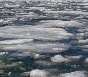 2100 moitie glaciers disparu - SocialMag
