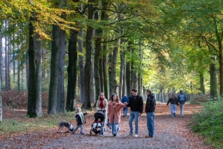 Marcher 5 minutes de plus par jour : un geste qui prolonge la vie