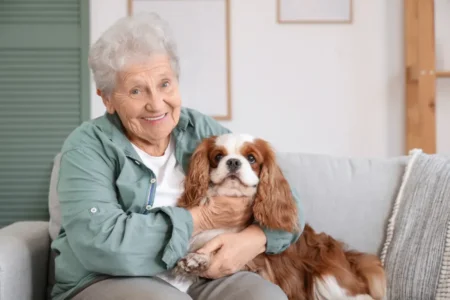 Réversion en 2026 : pourquoi toucher la pension d’un ancien salarié sera plus difficile