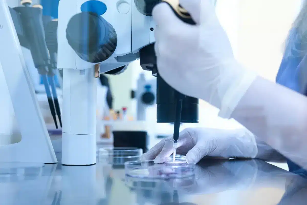 Ce simple test sanguin pourrait révéler Alzheimer bien avant les premiers oublis