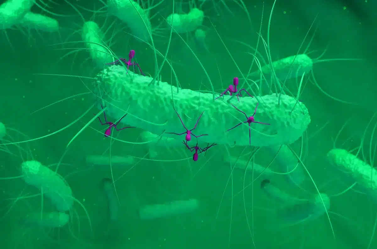 Ce virus caché dans votre intestin intrigue les chercheurs et pourrait favoriser le cancer colorectal