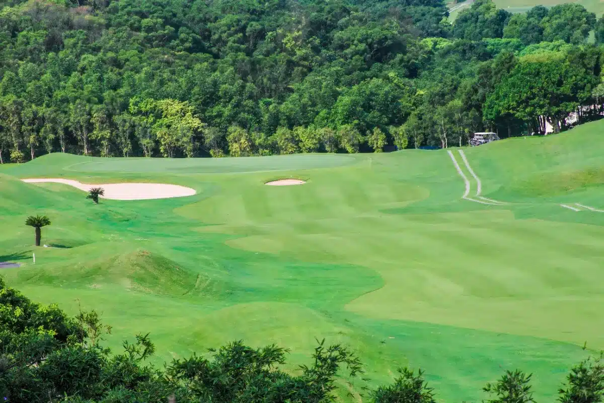 « Je suis le premier à entrer ici depuis 100 ans » : sous un terrain de golf, il découvre une cave à vin du XIIe siècle oubliée de tous