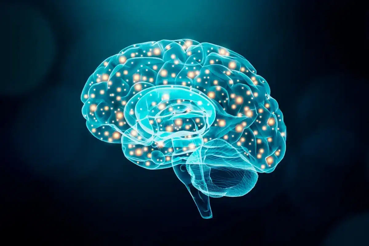 Cet édulcorant que beaucoup consomment pourrait fragiliser le cerveau et inquiéter les médecins