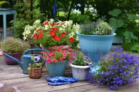 Pourquoi les pots de fleurs sont déjà dépassés : la tendance 2026 surprend