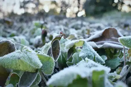 Mauvaise nouvelle pour ceux qui ont déjà rangé leurs manteaux : la France perd jusqu'à 10 °C en quelques jours, les prévisionnistes confirment