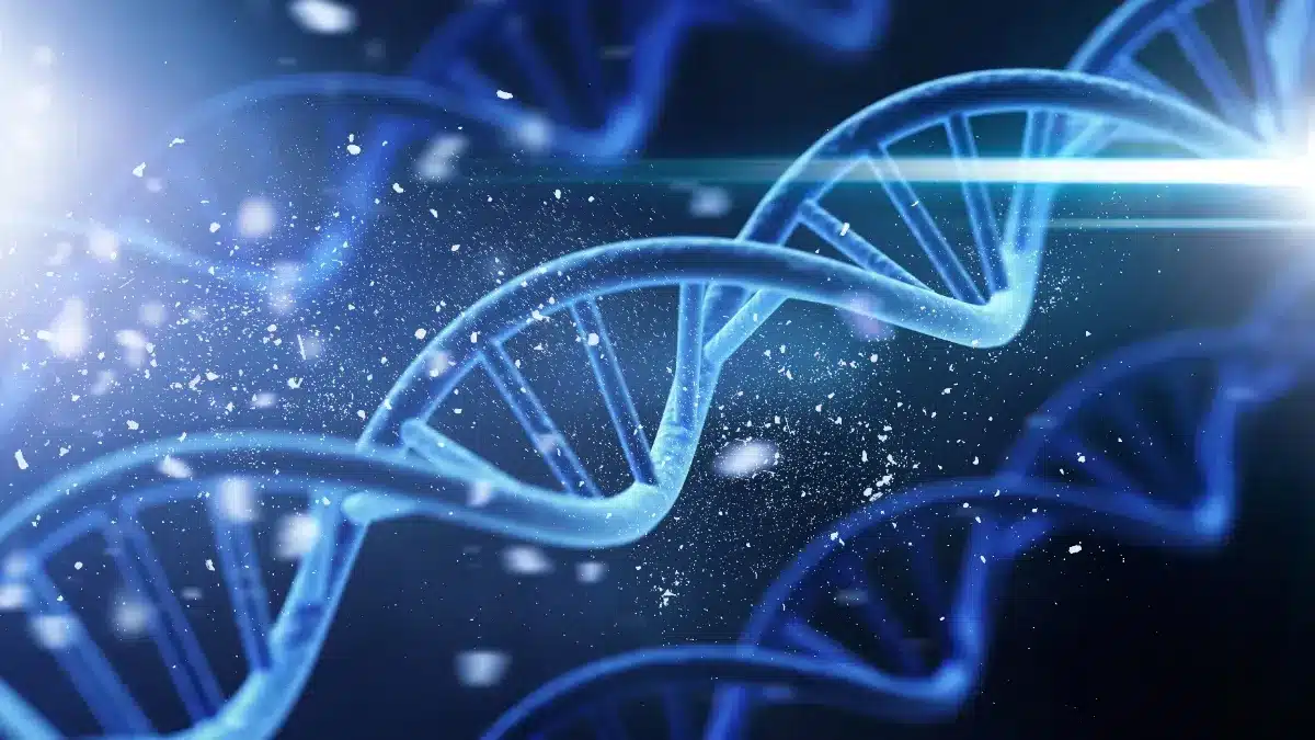 Des généticiens viennent de fabriquer un ADN entièrement synthétique : pourquoi ça remet en cause 70 ans de biologie