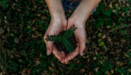 "Une plante verte symbolisant la consommation responsable, conseils pour un mode de vie durable."