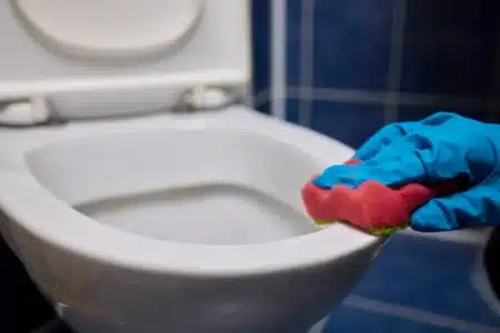 Pourquoi votre femme de ménage vaporise du vinaigre autour des toilettes et pas dedans : la raison surprend tout le monde
