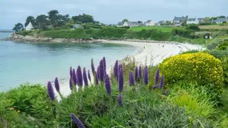 Adieu l'Espagne : des milliers de retraités quittent la Costa del Sol pour une île bretonne de 7 km