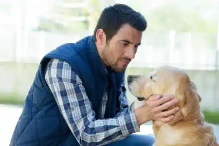 Oubliez les mots doux : voici comment dire je t'aime à son chien, et ce n'est pas ce que vous imaginiez