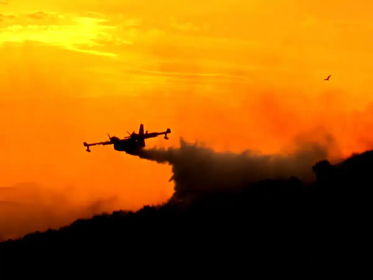 « On n'est pas efficaces » : le cri d'alarme d'un pilote de Canadair qui doit choisir quel feu il laisse brûler faute de moyens