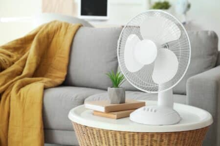 Ventilateurs : avec la canicule, leur prix s'est envolé