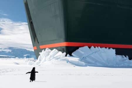 Groenland, Antarctique : le boom du tourisme polaire inquiète les scientifiques