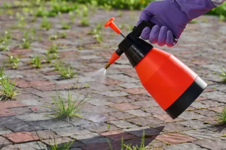 Oubliez le vinaigre blanc : ce produit oublié dans votre placard est celui que les jardiniers utilisent en secret pour désherber sans se baisser