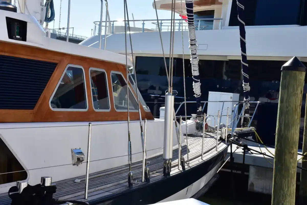 Plus de 30 chats vivaient entassés dans un bateau abandonné : la police découvre une scène que personne n'imaginait