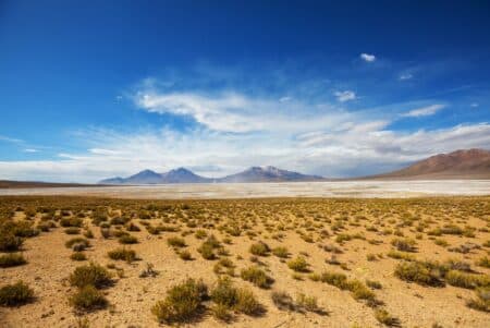 L'archéologie révèle l'origine de la variole en Amérique du Sud