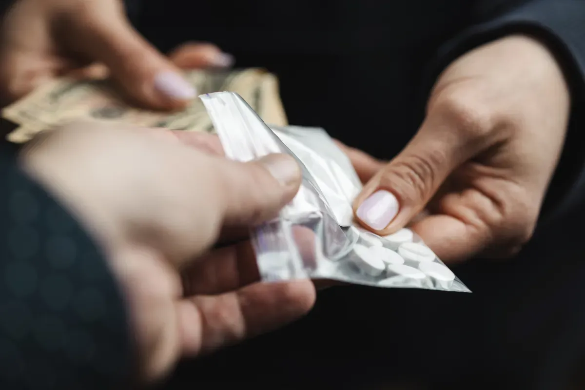 Condamnée à mort pour trafic de drogue : la chute de Sarah Khalifa, présentatrice vedette en Égypte