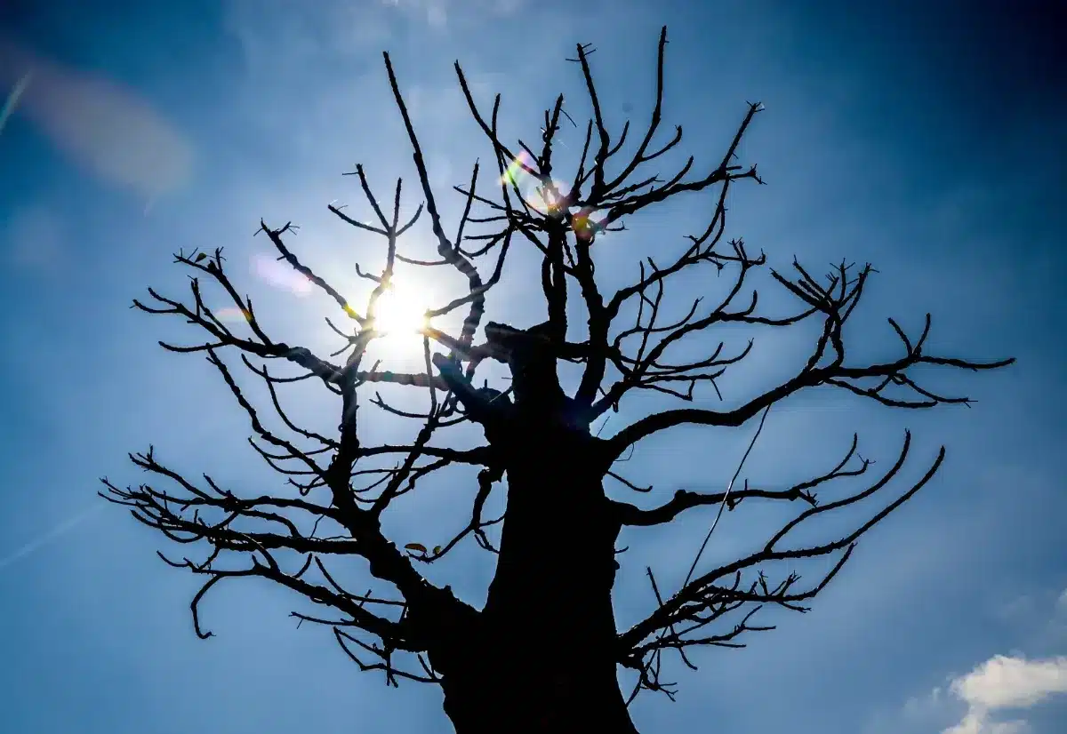 Septembre 2026 : les météorologues n'avaient pas vu une canicule aussi tardive depuis 1949, et elle arrive très vite