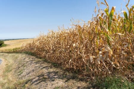 couts-climatiques-de-l-ete-2026-pesent-lourdement-sur-la-france